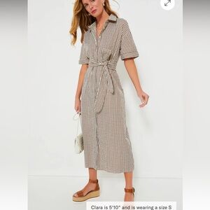 Pomander Place Brown Gingham Seersucker Zacara Dress